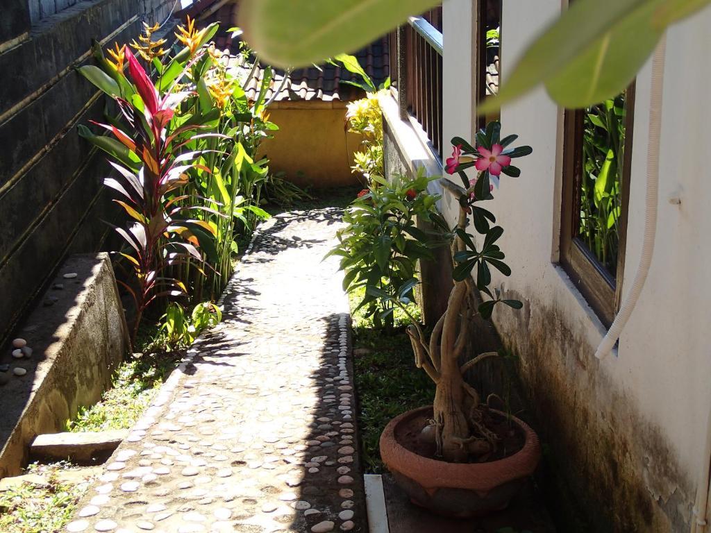 Titi Sedana Homestay Amed Pokoj fotografie